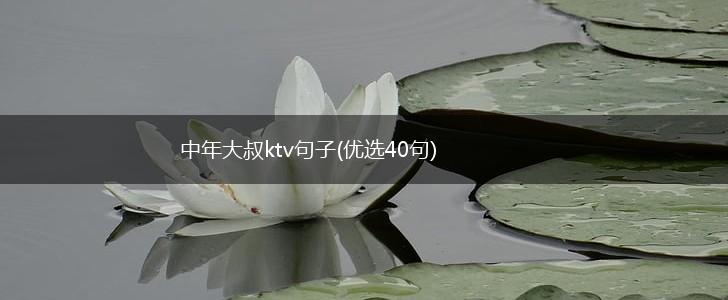 中年大叔ktv句子(优选40句),第1张