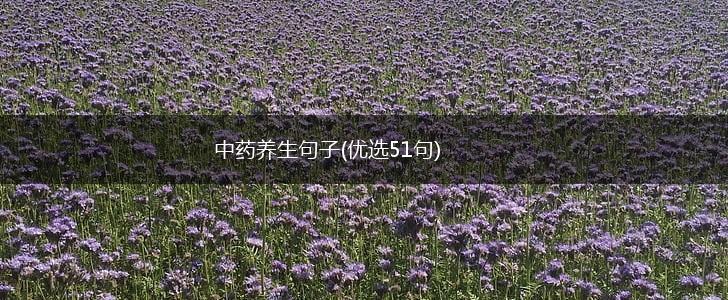 中药养生句子(优选51句),第1张