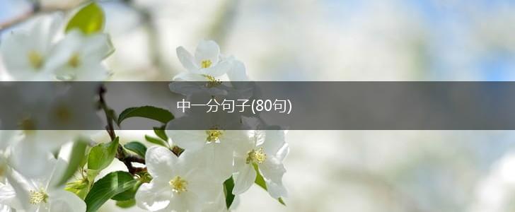 中一分句子(80句),第1张