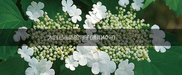 为自己而活的句子(通用40句),第1张