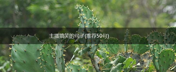 主播搞笑的句子(推荐50句),第1张