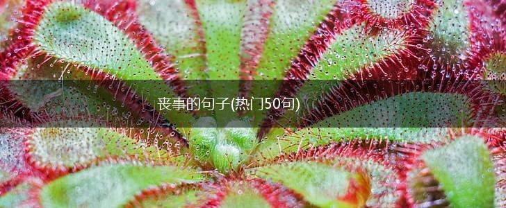 丧事的句子(热门50句),第1张