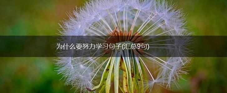 为什么要努力学习句子(汇总9句),第1张