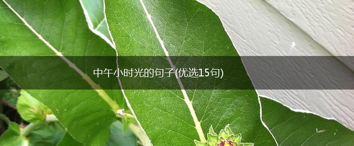 中午小时光的句子(优选15句),第1张