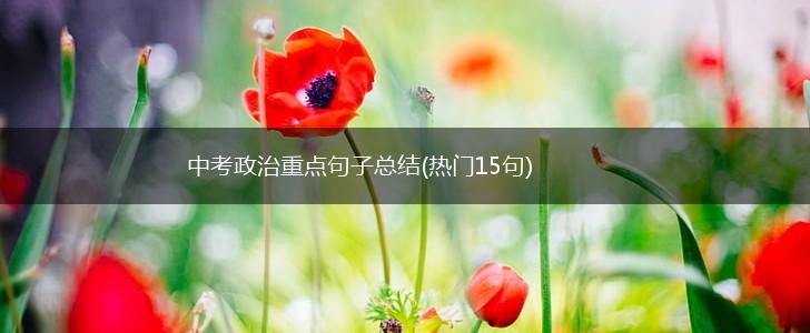 中考政治重点句子总结(热门15句),第1张