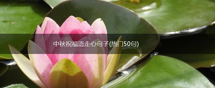 中秋祝福语走心句子(热门50句),第1张