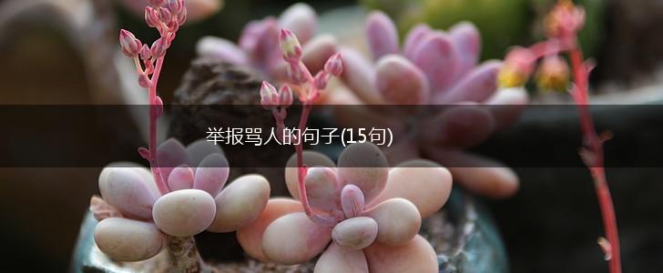 举报骂人的句子(15句),第1张