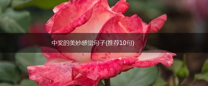 中奖的美妙感觉句子(推荐10句),第1张