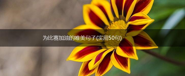 为比赛加油的唯美句子(实用50句),第1张