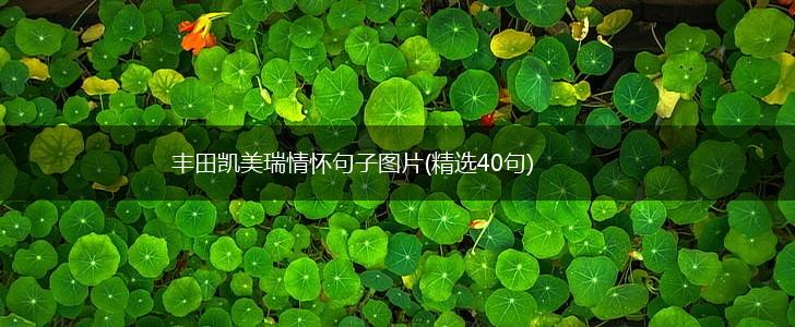 丰田凯美瑞情怀句子图片(精选40句),第1张
