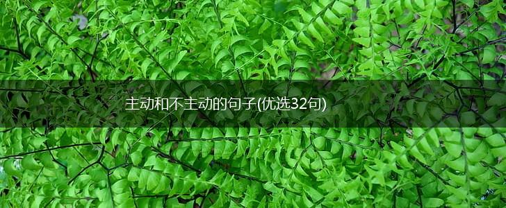 主动和不主动的句子(优选32句),第1张