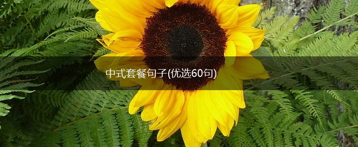 中式套餐句子(优选60句),第1张