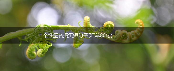 个性签名搞笑短句子(汇总80句),第1张