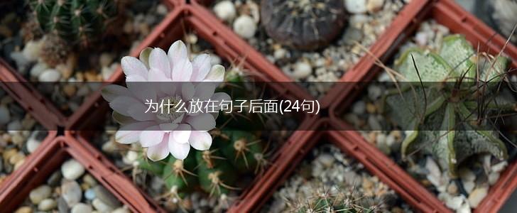 为什么放在句子后面(24句),第1张
