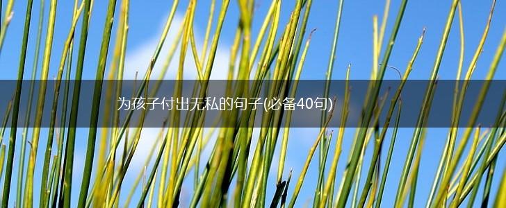 为孩子付出无私的句子(必备40句),第1张