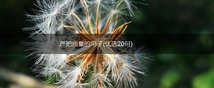 严把质量的句子(优选20句),第1张