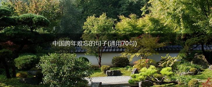 中国跨年难忘的句子(通用70句),第1张