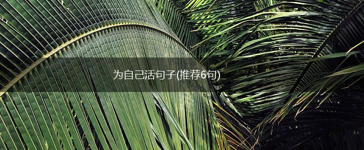 为自己活句子(推荐6句),第1张