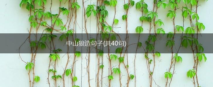 中山狼造句子(共40句),第1张