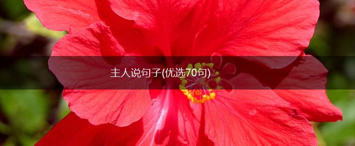 主人说句子(优选70句),第1张