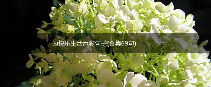 为快乐生活添彩句子(合集69句),第1张