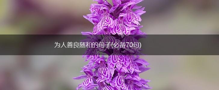 为人善良随和的句子(必备70句),第1张