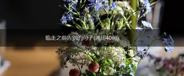 临走之前告别的句子(通用40句),第1张
