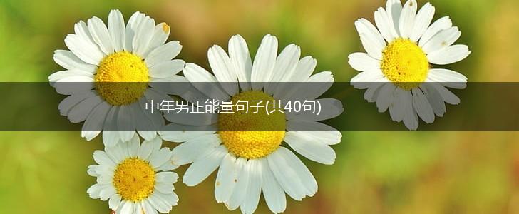 中年男正能量句子(共40句),第1张
