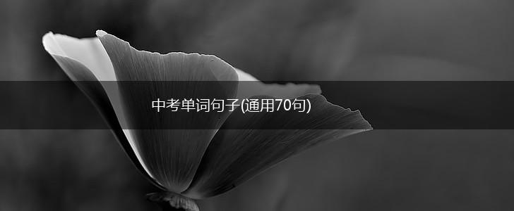 中考单词句子(通用70句),第1张