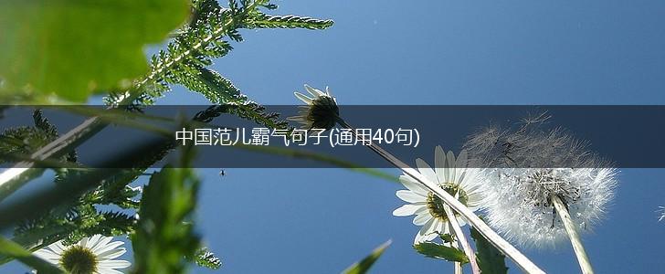 中国范儿霸气句子(通用40句),第1张
