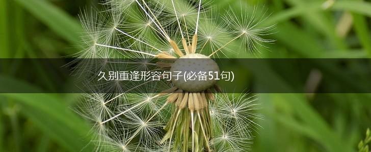 久别重逢形容句子(必备51句),第1张