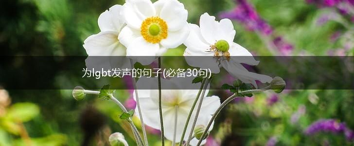 为lgbt发声的句子(必备30句),第1张