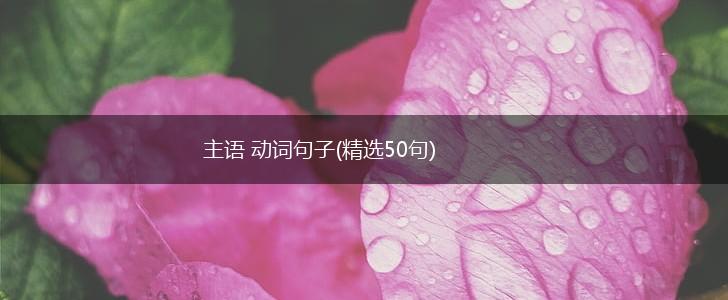 主语 动词句子(精选50句),第1张