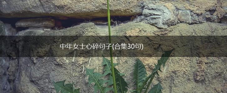 中年女士心碎句子(合集30句),第1张