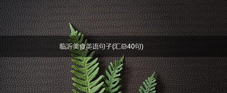 临沂美食英语句子(汇总40句),第1张