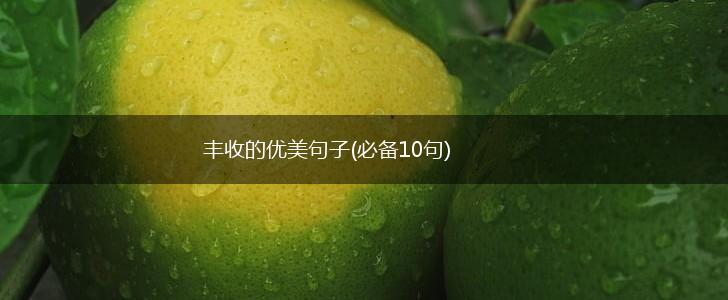 丰收的优美句子(必备10句),第1张