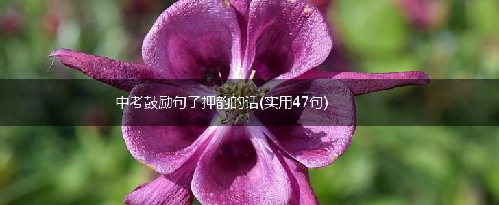 中考鼓励句子押韵的话(实用47句),第1张
