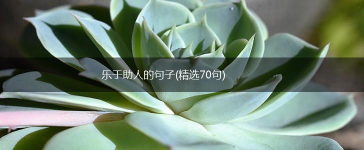 乐于助人的句子(精选70句),第1张