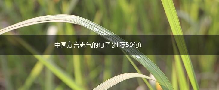 中国方言志气的句子(推荐50句),第1张