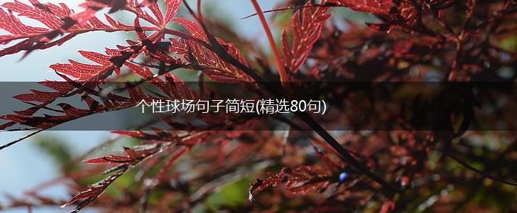 个性球场句子简短(精选80句),第1张