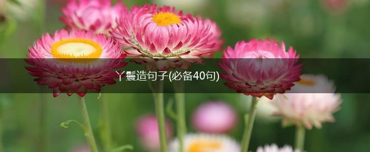 丫鬟造句子(必备40句),第1张