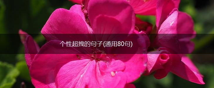 个性超拽的句子(通用80句),第1张