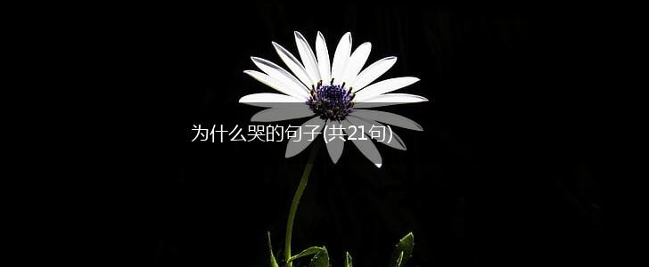 为什么哭的句子(共21句),第1张