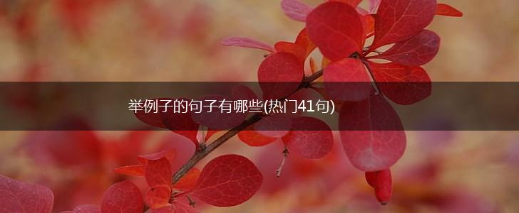 举例子的句子有哪些(热门41句),第1张