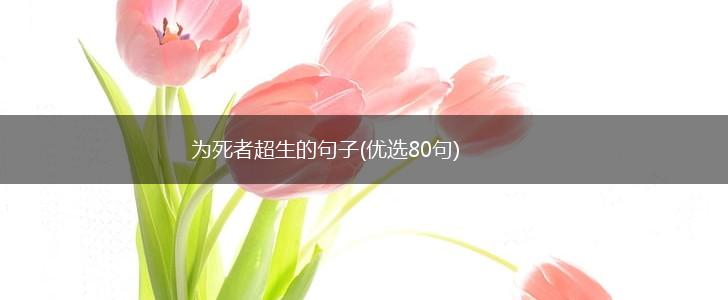 为死者超生的句子(优选80句),第1张