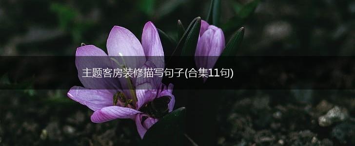 主题客房装修描写句子(合集11句),第1张