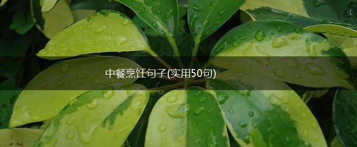 中餐烹饪句子(实用50句),第1张