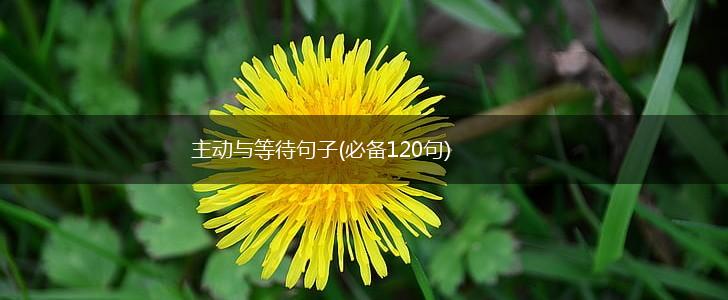 主动与等待句子(必备120句),第1张