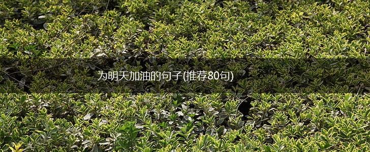 为明天加油的句子(推荐80句),第1张