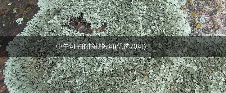 中午句子的摘抄短句(优选70句),第1张